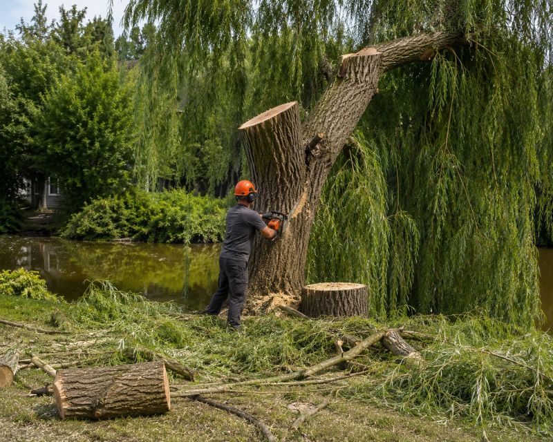 Apple Tree Removal in Bucks County, PA