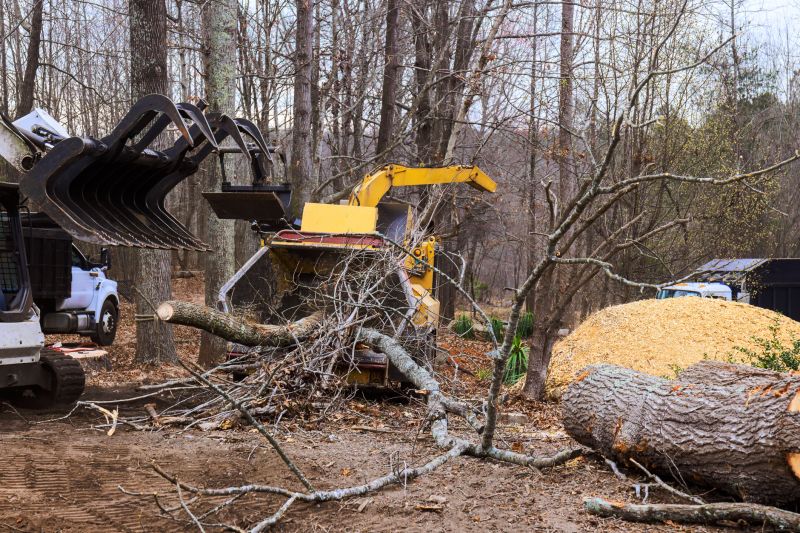Dead Tree Removal in Aiken, SC